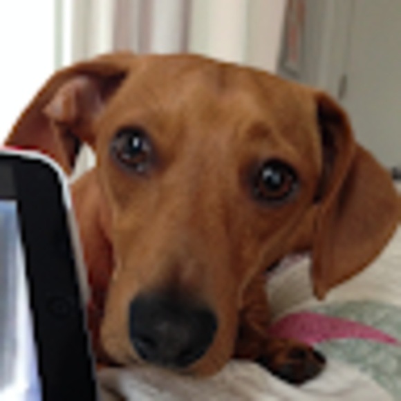 Meet your Posher, Amy - Picture 1 of 1